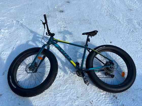 Insera wampa 19 Vantaa