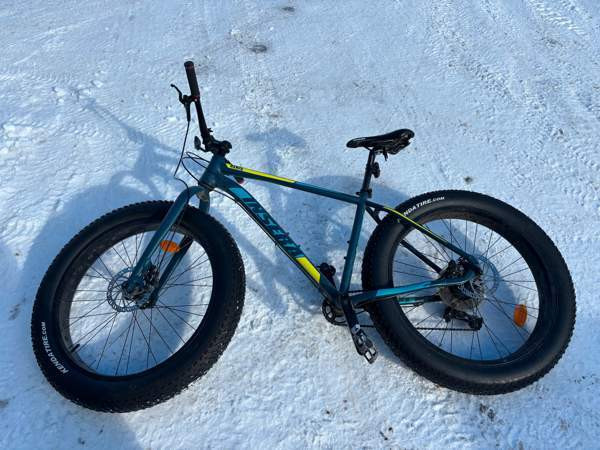 Insera wampa 19 Vantaa – foto 1