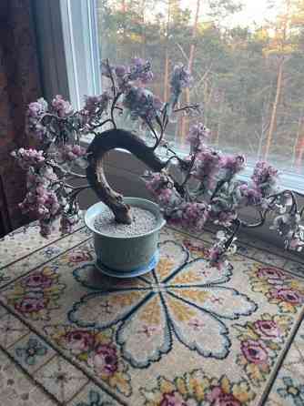 Bonzai lasipuu Espoo