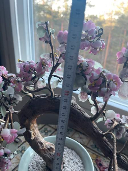 Bonzai lasipuu Эспоо - изображение 3