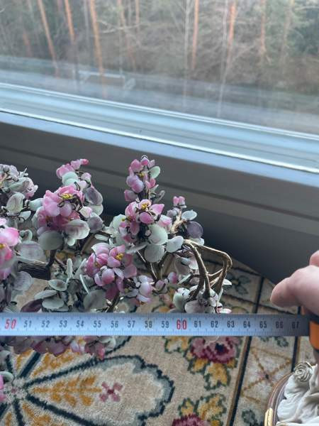 Bonzai lasipuu Эспоо - изображение 4