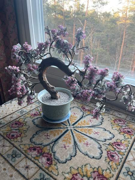 Bonzai lasipuu Эспоо - изображение 1