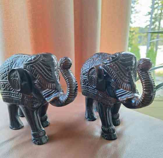 Upeat isohkot koristenorsut erinomaisessa Keuruu