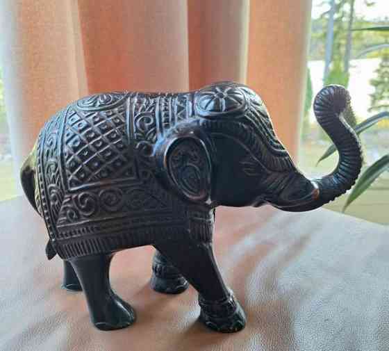 Upeat isohkot koristenorsut erinomaisessa Keuruu