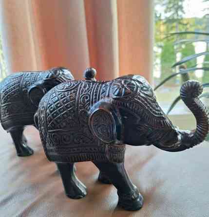 Upeat isohkot koristenorsut erinomaisessa Keuruu