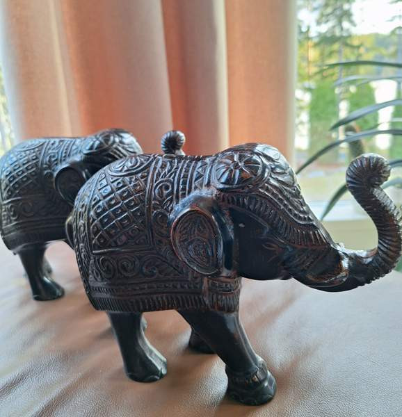 Upeat isohkot koristenorsut erinomaisessa Keuruu – foto 3