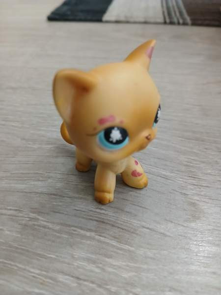 Littlest petshop seisova kissa Savonlinna – foto 1