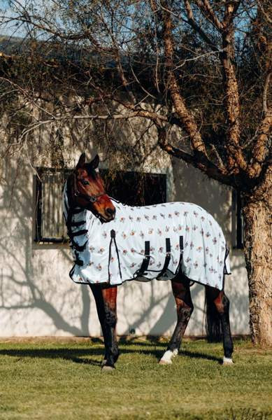 Hz Belly 145cm Lohja - photo 1