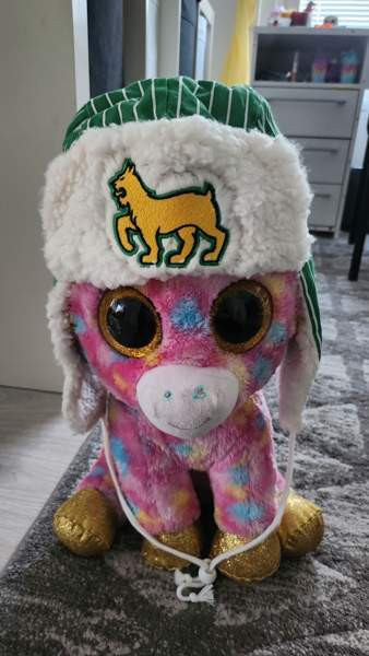 Ilves karvalakit x2 Туусула - изображение 1