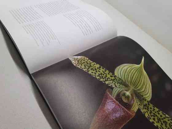 ORKIDEAT Janne Aho Helsinki