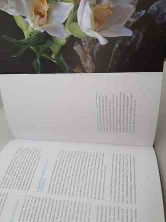 ORKIDEAT Janne Aho Helsinki