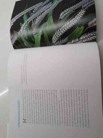 ORKIDEAT Janne Aho Helsinki