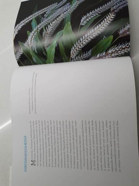 ORKIDEAT Janne Aho Helsinki – foto 5