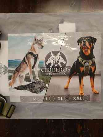 Cerberos valjaat Kontiolahti