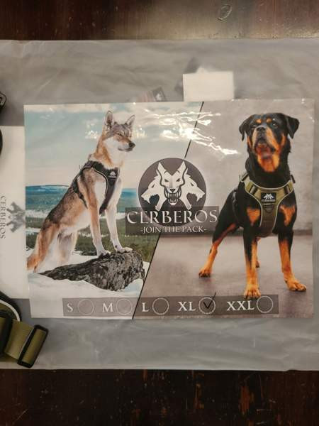 Cerberos valjaat Kontiolahti – foto 1