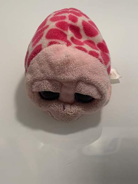 Ty pehmoleluja Espoo - valokuva 5