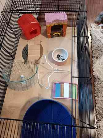 Myydään jyrsijän häkki ja tarvikkeita Liminka