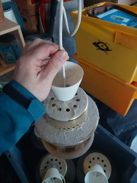 Kattovalaisin Pornainen - photo 5