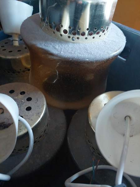 Kattovalaisin Pornainen - photo 2