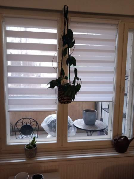 Rullaverhoja Oulu – foto 1