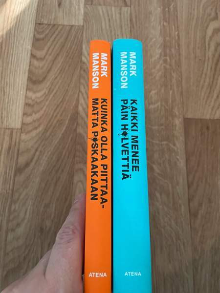 Mark Manson: Kuinka olla piittaamatta p*skaakaan/ Kaikki menee päin h*lvettiä Tampere – foto 2
