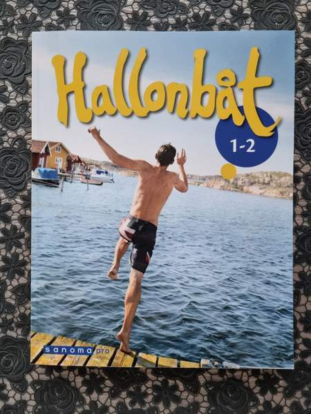 Hallonbåt oppikirja alakouluun Jyvaeskylae – foto 1