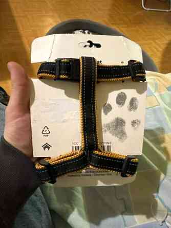 Pieni koiran valjaat Joensuu