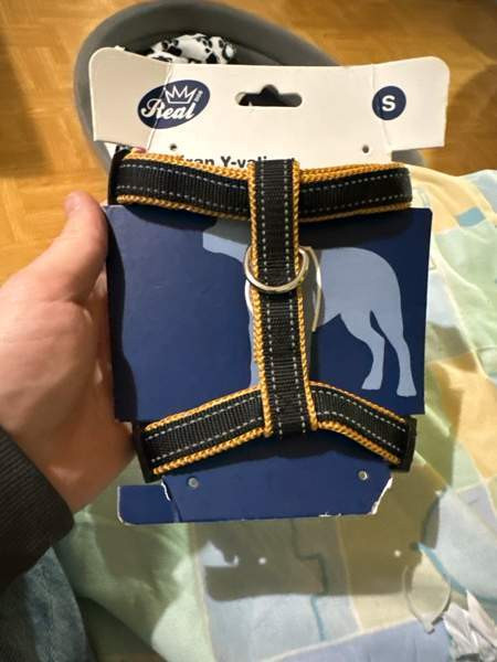 Pieni koiran valjaat Йоэнсуу - изображение 1