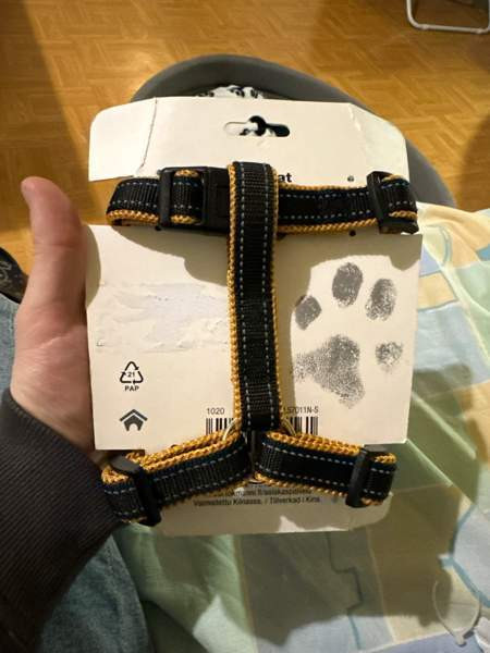 Pieni koiran valjaat Йоэнсуу - изображение 4