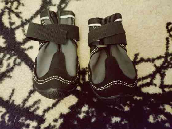 Feel Active Hiker koiran tossut (2kpl) koko 2 Espoo