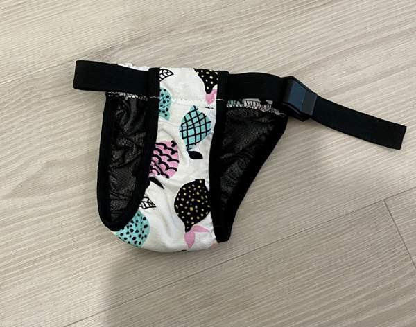 Koiran juoksuhousut Oulu – foto 2