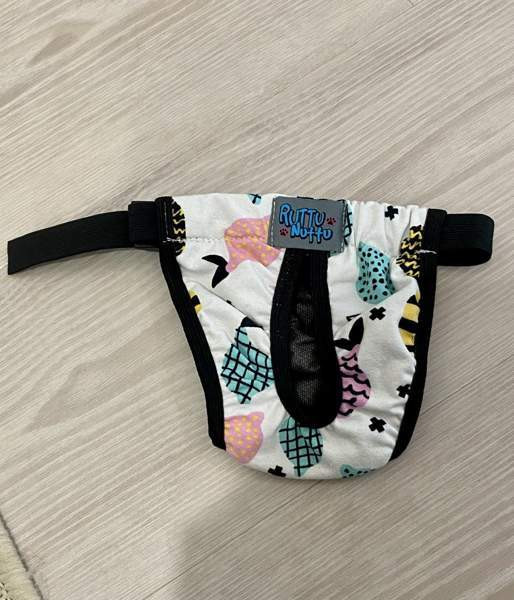 Koiran juoksuhousut Oulu – foto 1