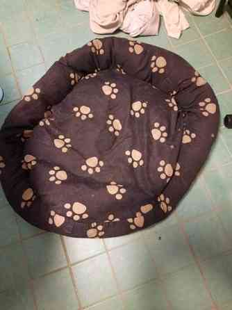 Koiran peti s koko Helsinki