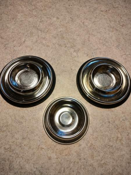 Koiran kupit Lieto - valokuva 1