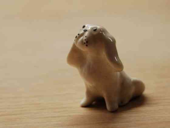 Lomonosov, pieni koira, CCCP Helsinki