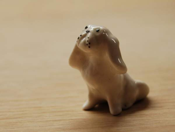 Lomonosov, pieni koira, CCCP Helsinki - photo 2