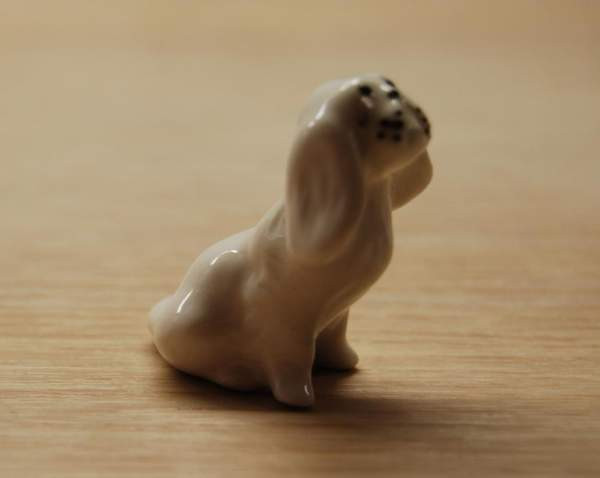 Lomonosov, pieni koira, CCCP Helsinki - photo 1