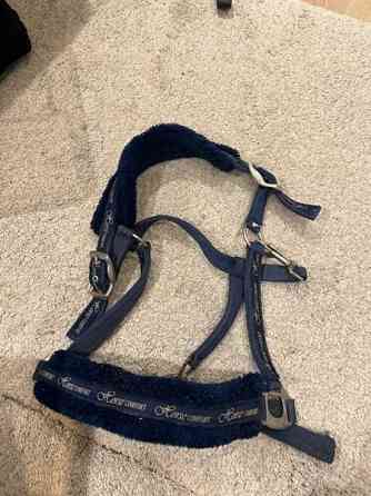 Horse comfort full riimu Järvenpää