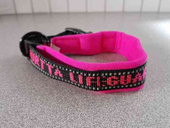 Hurtta Lifeguard koiran kaulapanta Vantaa