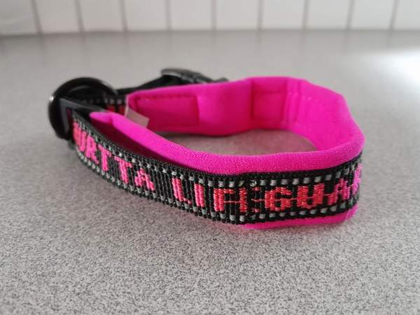 Hurtta Lifeguard koiran kaulapanta Vantaa – foto 1