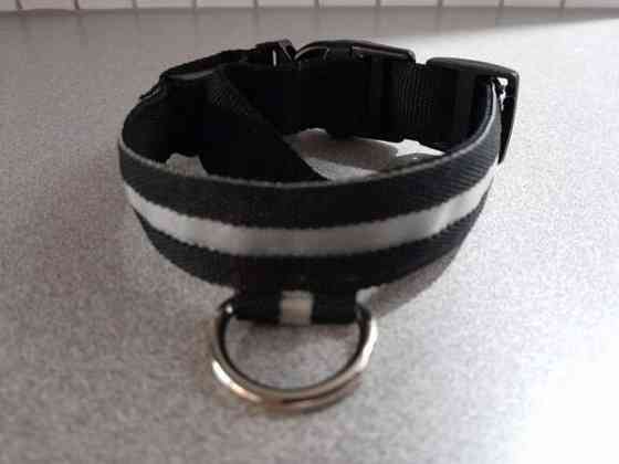 Koiran valopanta Vantaa