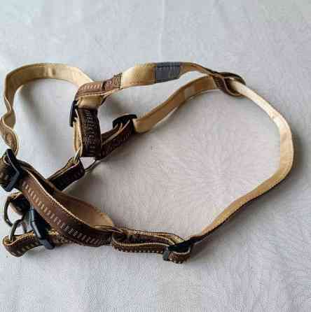 Koiran valjaat Raasepori