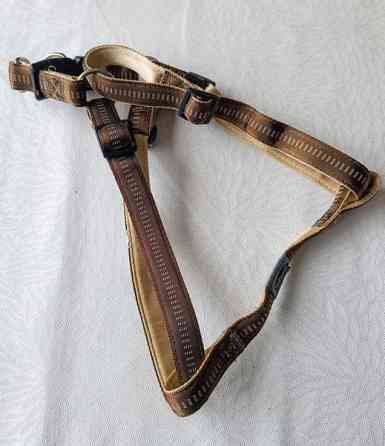 Koiran valjaat Raasepori