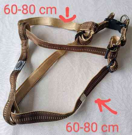 Koiran valjaat Raasepori