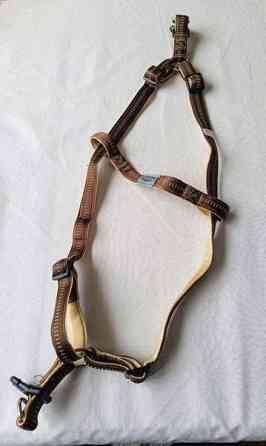 Koiran valjaat Raasepori