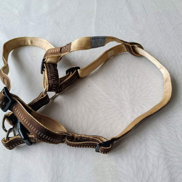 Koiran valjaat Raasepori - photo 6