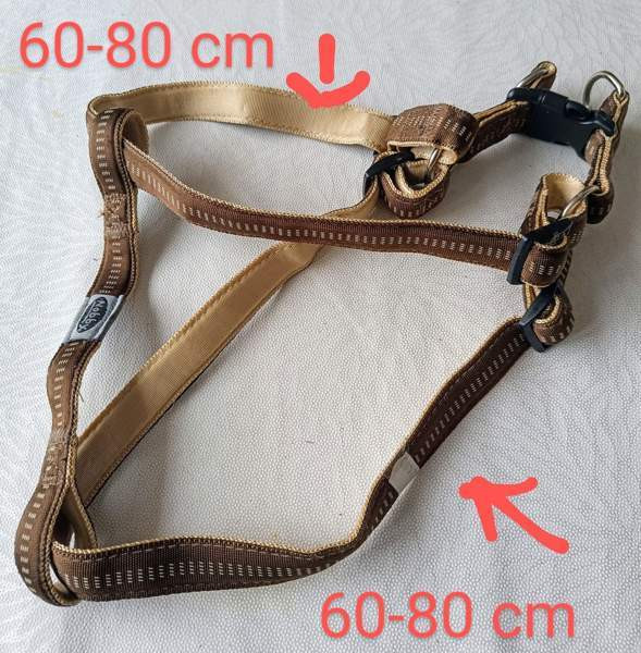 Koiran valjaat Raasepori - photo 3