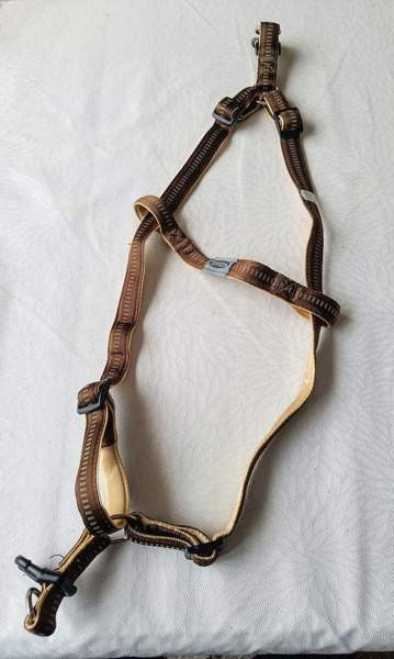 Koiran valjaat Raasepori - photo 5