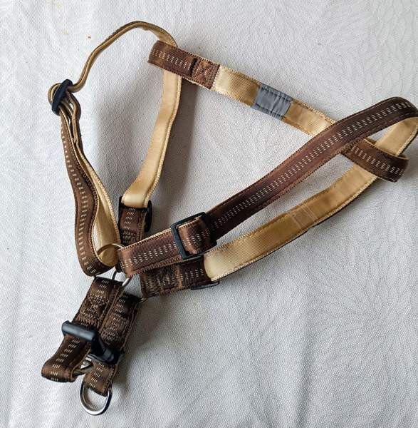 Koiran valjaat Raasepori - photo 4