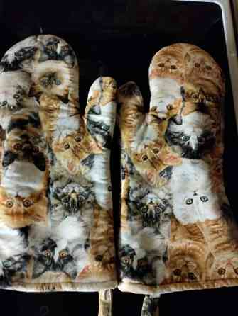 Kissat 2 kpl Kaarina